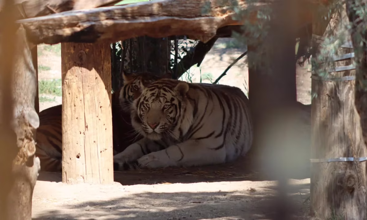 SFPRV3Z3WFASHFHGTT7LSQB4SQ