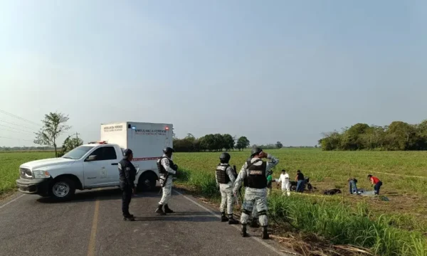 230366xeva20240409092846