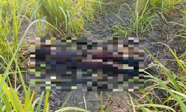 438145715 122168728910068752 5615438884401501360 n