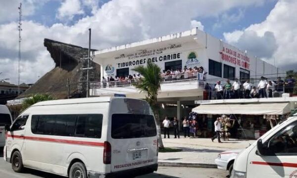 439259538 964861285639500 545283739601637573 n