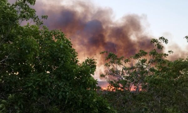 FSincediosmayoenerohopelchenescarcega