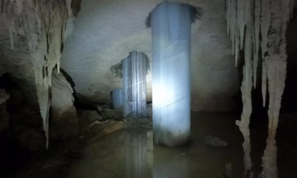 SRE2MG3Y2ZDKJEWVXQIR2YQCNI