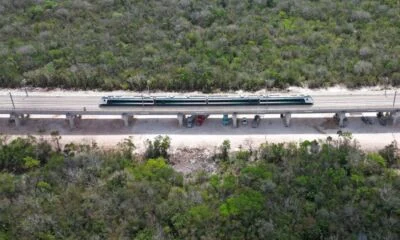 Tren Maya naturaleza 1140x570 1