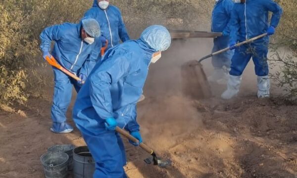 bfb8217f 70b4 4d26 9370 019e9ea528c2