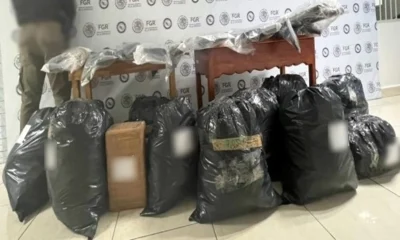 confisca fgr mas de 100 kg de mariguana en cardenas tabasco 9214html confiscacion 3016html e039bd49 3802 4880 a68e cb109c9a41e7ljnimgndimagefullsize