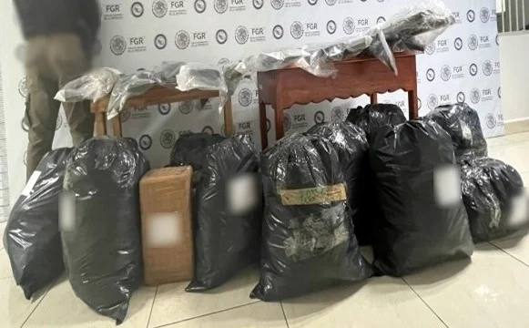 confisca fgr mas de 100 kg de mariguana en cardenas tabasco 9214html confiscacion 3016html e039bd49 3802 4880 a68e cb109c9a41e7ljnimgndimagefullsize