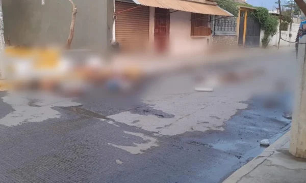 desmembrados 4 acapulco guerrero ciudad renacimiento