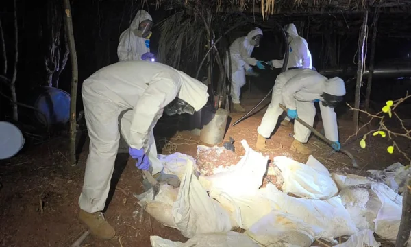 semar desmantela narcolaboratorio en sinaloa