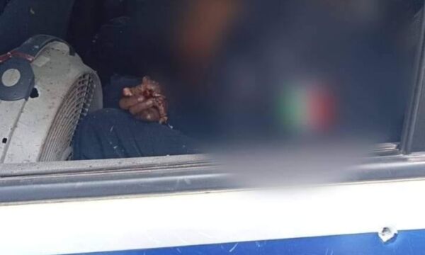 079e4279 0c0f 4ef7 89ee 5ef09bd8ae28