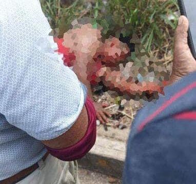 448472340 899552142216124 4403572581330987486 n