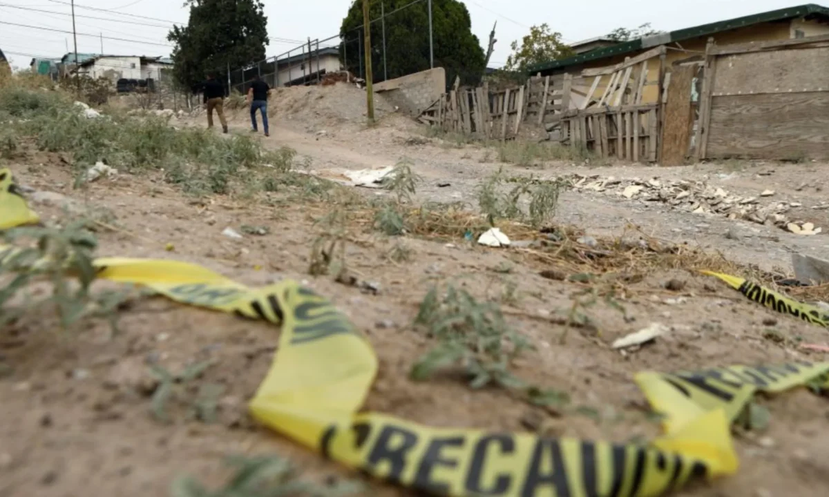 Copia de FOTO PARA WP 2024 01 23T131209.262