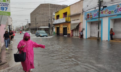 Proyecto nuevo 58 2