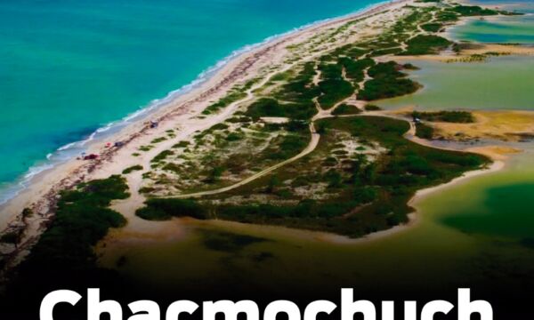 1a133cc8 b1b5 4a88 bcab bdf06f0f2c10