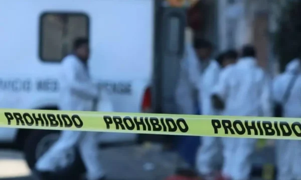 231216xeva20240420110720