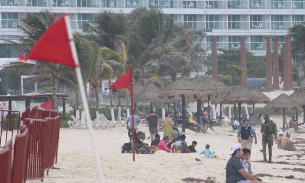 449436829 905407488267945 3360791885716821589 n