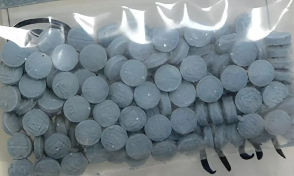 estadunidenses trafican 85 del fentanilo incautado en frontera mexico 5841html fentanilojpg 1951html 46f4b12a 3dbe 4cb2 ab1f bd98000a7013