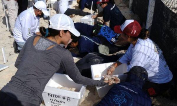 ff05cd0f aa9f 4219 a449 fdc90f3f0fd3