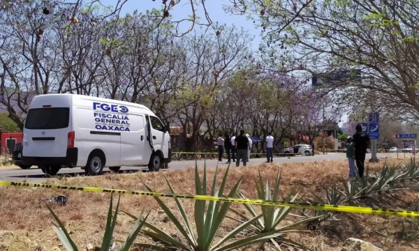 homicidios asesinatos violencia mexico oaxaca