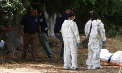 IMG 4885 1536x1152 1