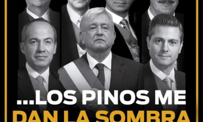 REPORTE MAYA 49