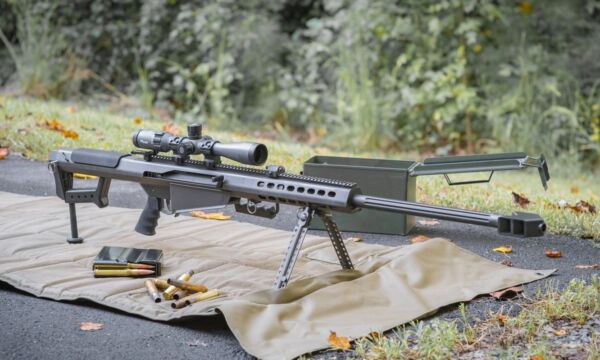 68585255 2313362298753674 7803503952430891008 n