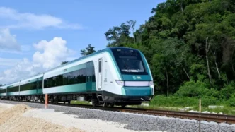 f93gxnjx0aaplzr crop1699283264296.jpg 1970638775