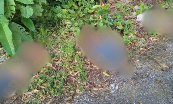 25b30588 7b4c 4bcc 9935 1c4d7e54a6f1