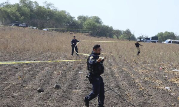 294c65ebd3870a01bc03a50d74a03aca_o