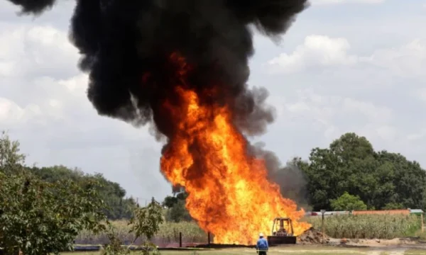 f768x1-676768_676895_5050