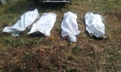 472032118_10236859958298924_4289105985044815472_n 472032118_10236859958298924_4289105985044815472_n