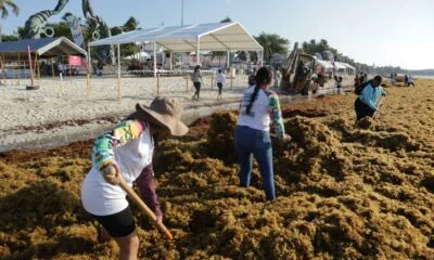 foto6834fe1a54c47