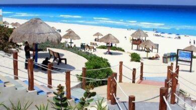 playa-delfines