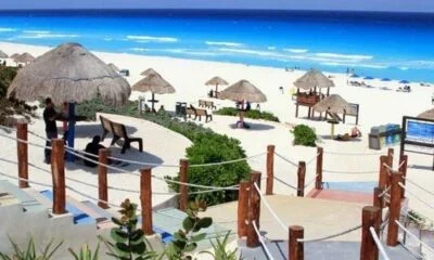 playa-delfines