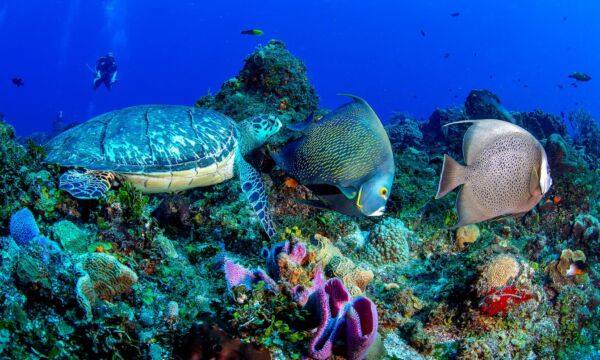 1247d26f-7278-4449-ba9b-118e88b83692