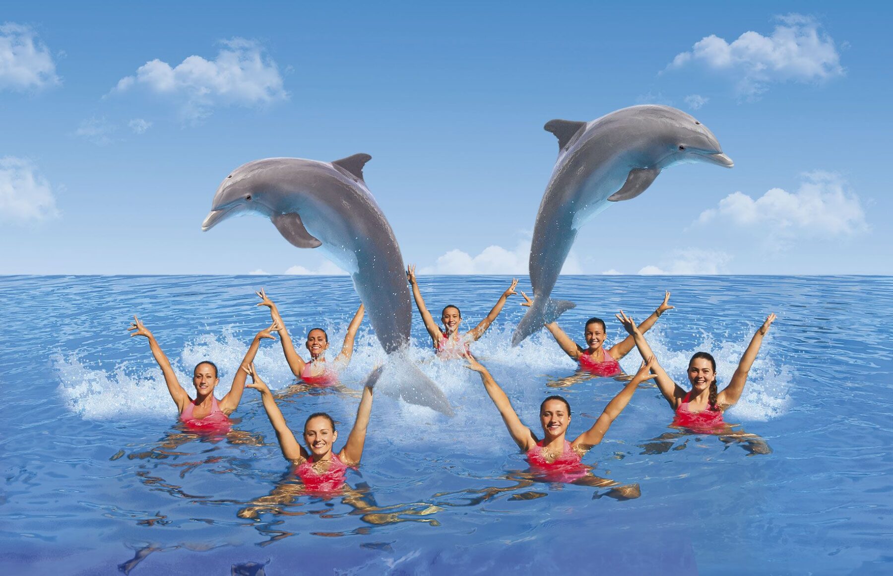 1499422002 nuevo show delfines mundomar 1