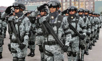 15-EL-ESCUDO-NACIONAL