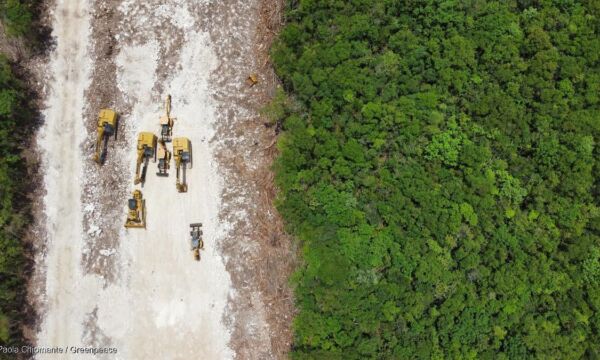 352eccc9-gp0su4n5f medium-res-with-credit-line-1200px-2