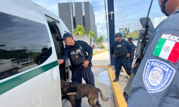 496716242 692290263709002 6510764119254638226 n