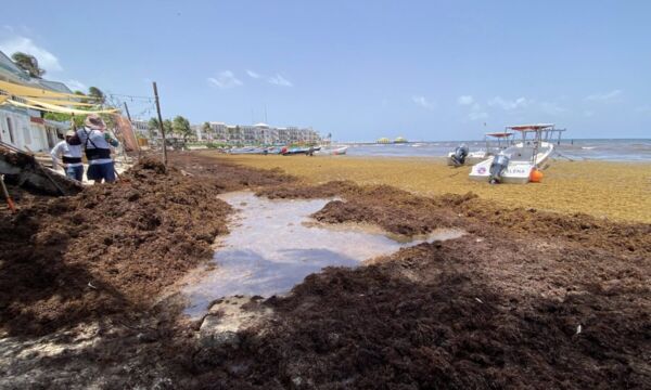 500777503 1106206638205898 8076160680848061303 n