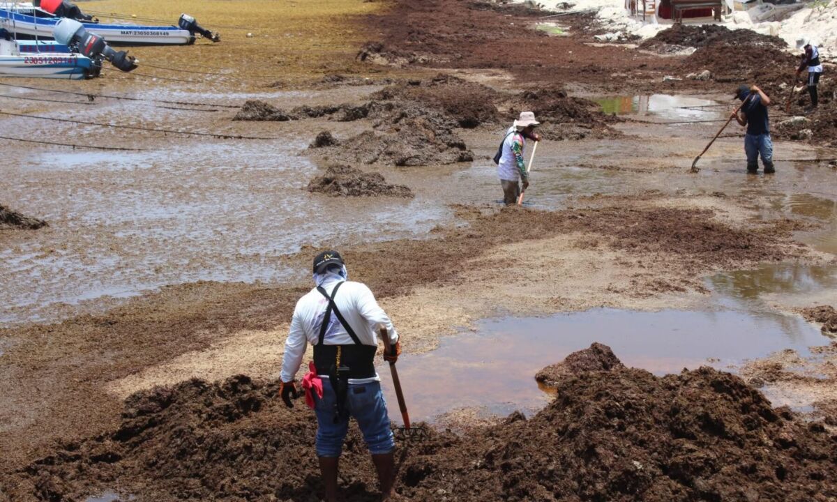 501776057 1024125306365625 5984589114454267561 n