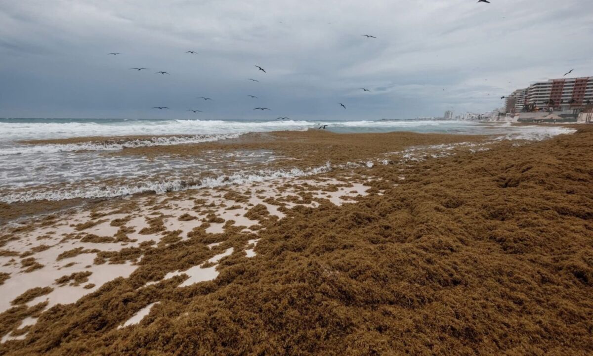 505456361 1146768880591730 7796667542290598445 n