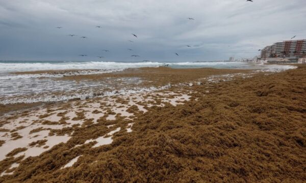 505456361 1146768880591730 7796667542290598445 n