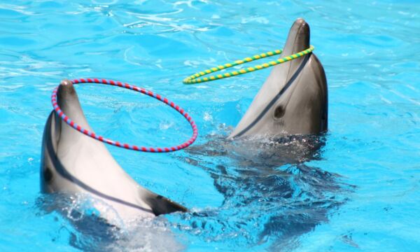 82a57108-bfa8-4f0d-b1b5-de0807d0b468