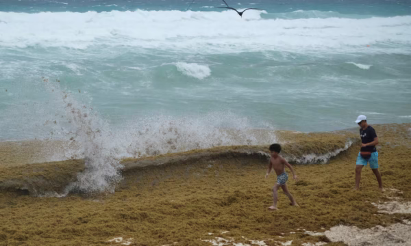 AXHE4AV3EJ7LUCQQG7YCVH7SVA