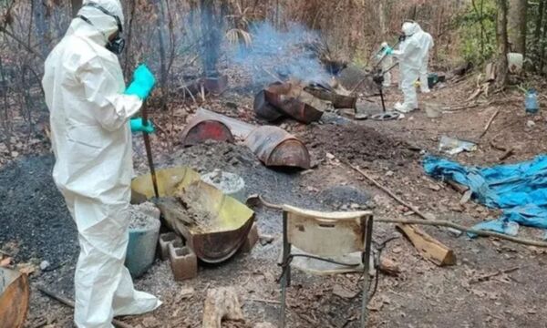 HALLAZGO-EN-LA-SELVA-1-1160x700