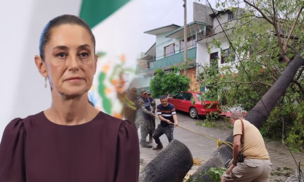 ODTJNB4PQJAEPN6MAMCC7KNXXA