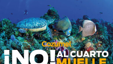 REPORTE MAYA 68