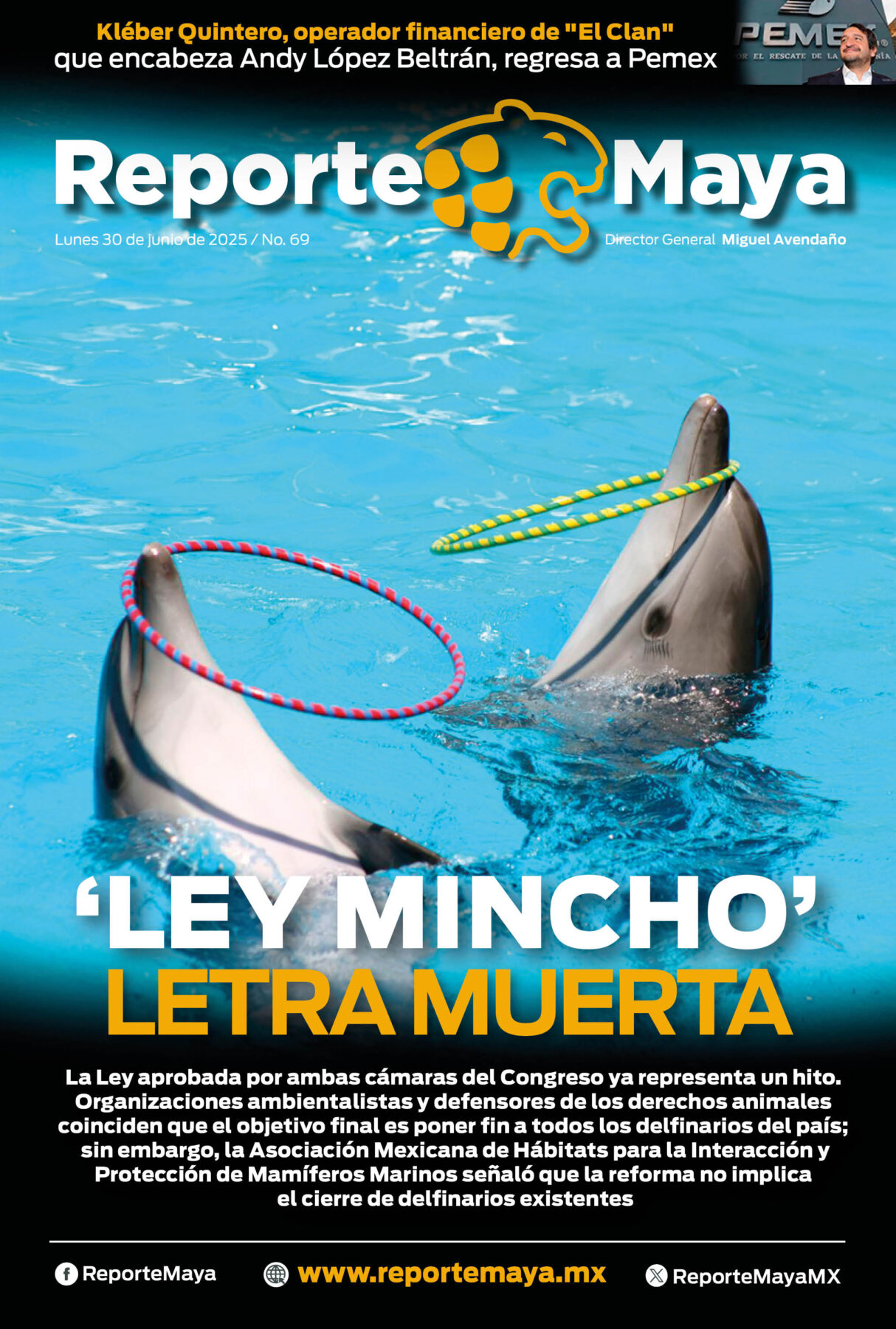 REPORTE MAYA 69