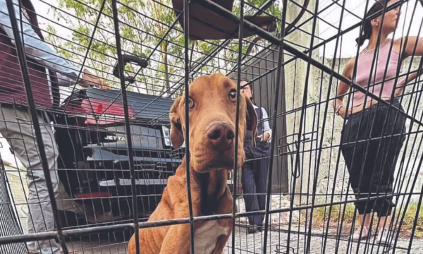 UK5IIJLKD5CC5ALZHCNOLTHDDY