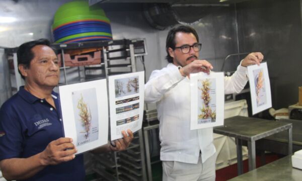 WhatsApp-Image-2025-06-17-at-11 59 12